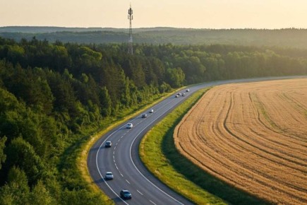 ��������� ������� ����� ����� � ������������ 31 ����� � ��������������� 25 ������� ������� ����� ��������� � 2025 ����