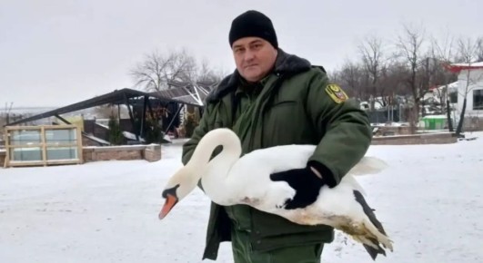 � ������ ���������������� �������� ���� ������