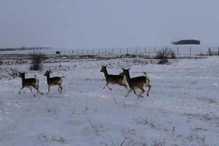 � ��������� ������ �������� 50 ����� ��� ���������� �������� ��������������� � �������