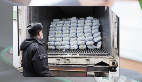 � ������ ���� �� ���������� ������� ��������� �� ������� ����� 167 ���� ��������� ��������������