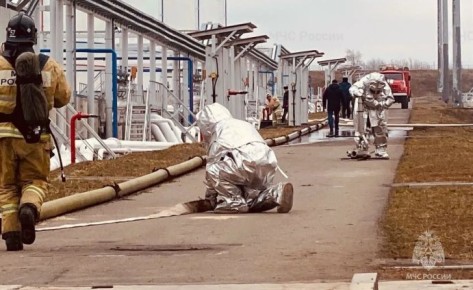 �� ����� ������� ��������� ������������� 11 ����������� �������