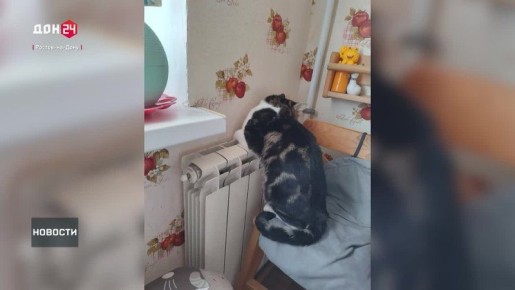 Ситуация с отоплением в Ростове-на-Дону