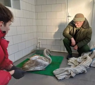 Спасенных диких птиц отправили в донской парк