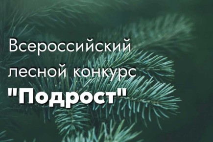 ���� ������ ���������� ������� ������� � XXIII ������������� ��������� ������ �������� ��������