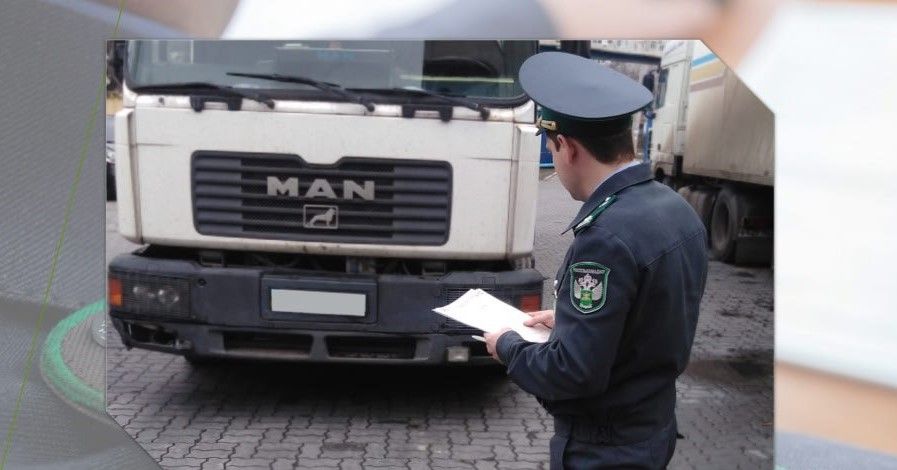 Россельхознадзор из-за нарушений не допустил ввоз в Ростовскую область 17 тонн мороженной рыбы