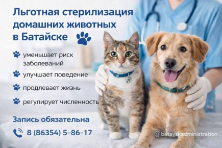 Льготная стерилизация домашних животных в Батайске