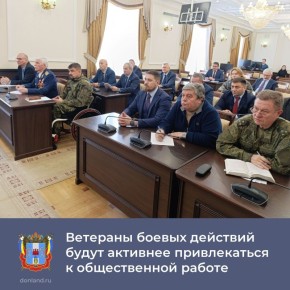 В правительстве области прошло первое заседание координационного совета ветеранов боевых действий