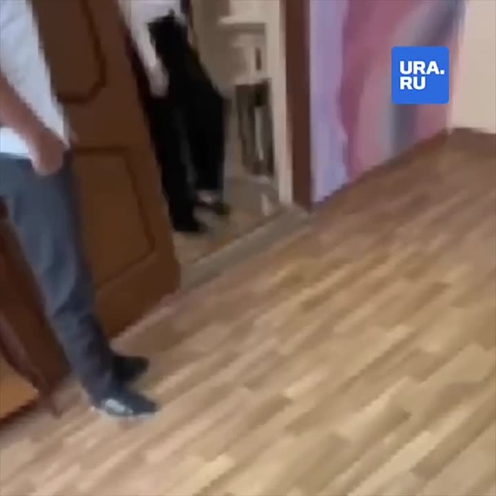 Школьница потеряла сознание после удара одноклассника в Ростовской области