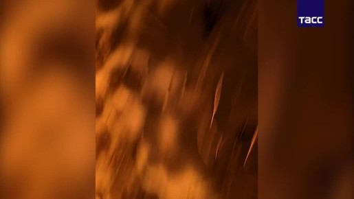 Бойцы бригады "Север-V" сбили 4 дрона-камикадзе "Лютый", летевшие в Ростовскую область, сообщили ТАСС в Добровольческом корпусе