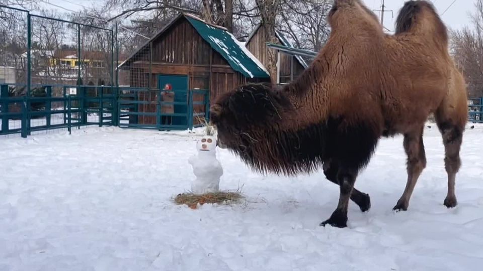 ��, �����, ��� ������ � ���� ������ ����� � �����-���������!