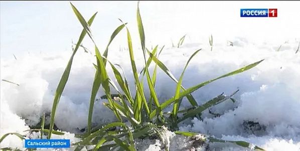 ������� ������ ������������� � ��������� ����������� ����������, ����������� ������� ������ � ������� ��� ������� �������� �������