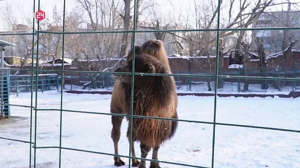 ���� � ���������� ��������: ��� �������� ���������� ������?