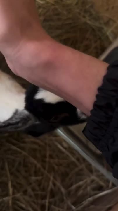 ��������� ������� ���� ����������