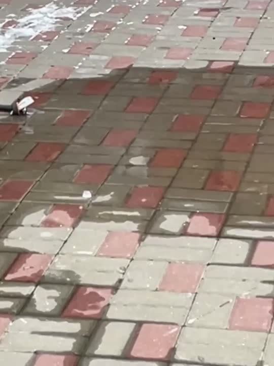 ���� �� ������ �������� �� ���������� ����� �������� � �� ��������