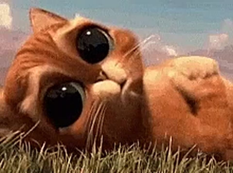 ������� ��������� ���� �� 2 �� 8 �������