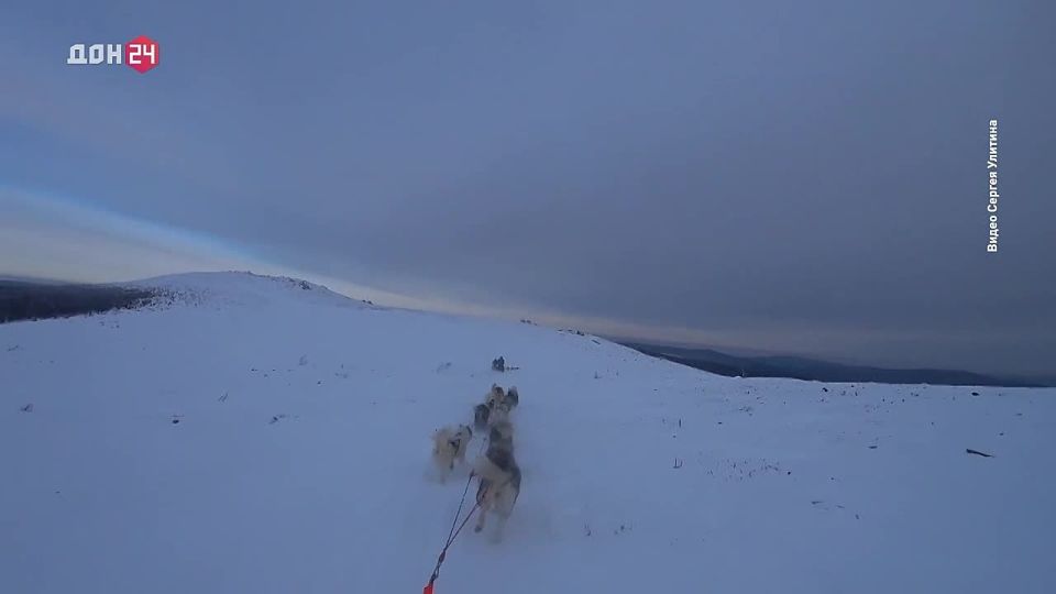 ����� � ���������, ������ �� ��������: � ���� ������� ����� �������� ����� ���������� ����� �� ���� ��������