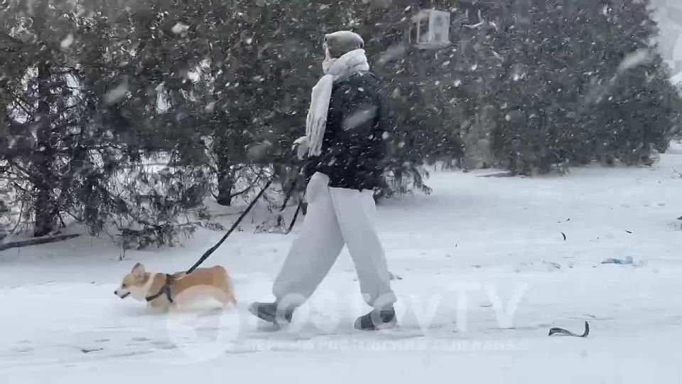 ������ ����� �������� ������