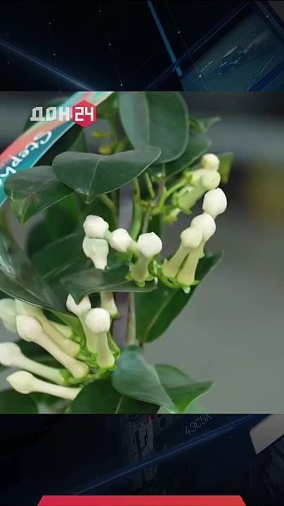 ������� ������ ����� �����: ���������� ����� � �����������