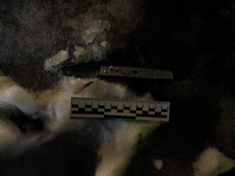 ����������� ������ ����� ��������� ������� �������������� � ���������� ������������