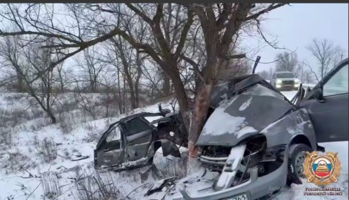 В Веселовском районе при наезде на дерево погиб водитель «Лада Приора»