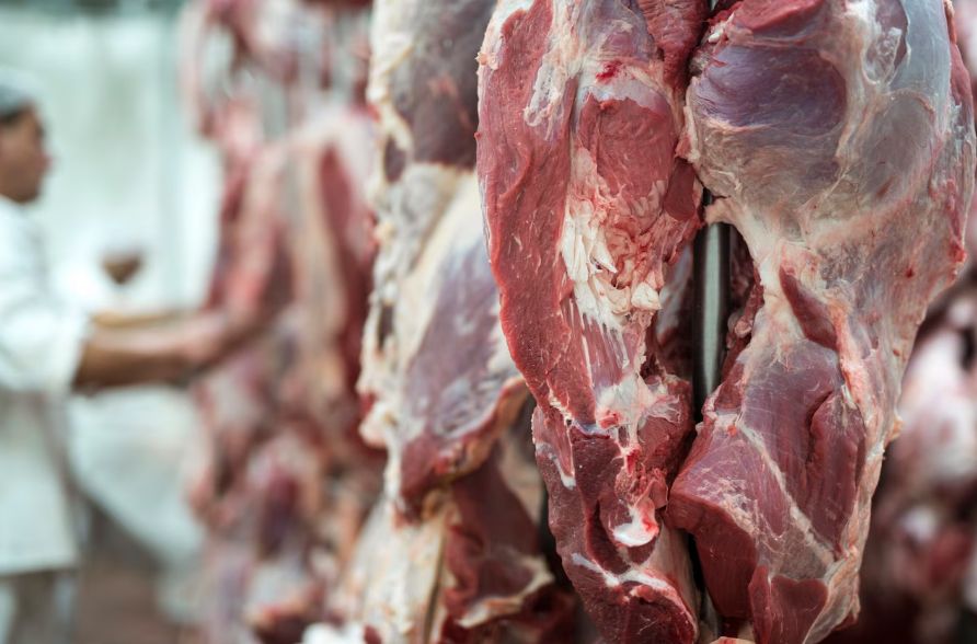 � ���������� ������� ��������� ������������ ��������� ��������������