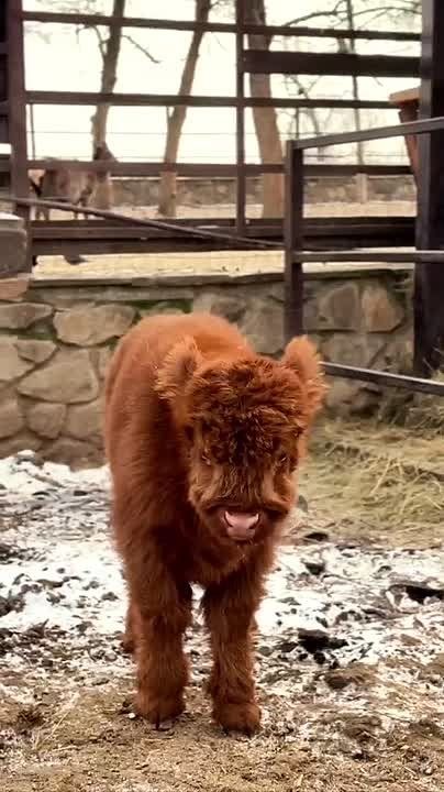 ���������� ������� ���������� � �� ����� ���