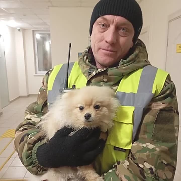 ���������� ���� ������ �� ������� �� ������ �-4