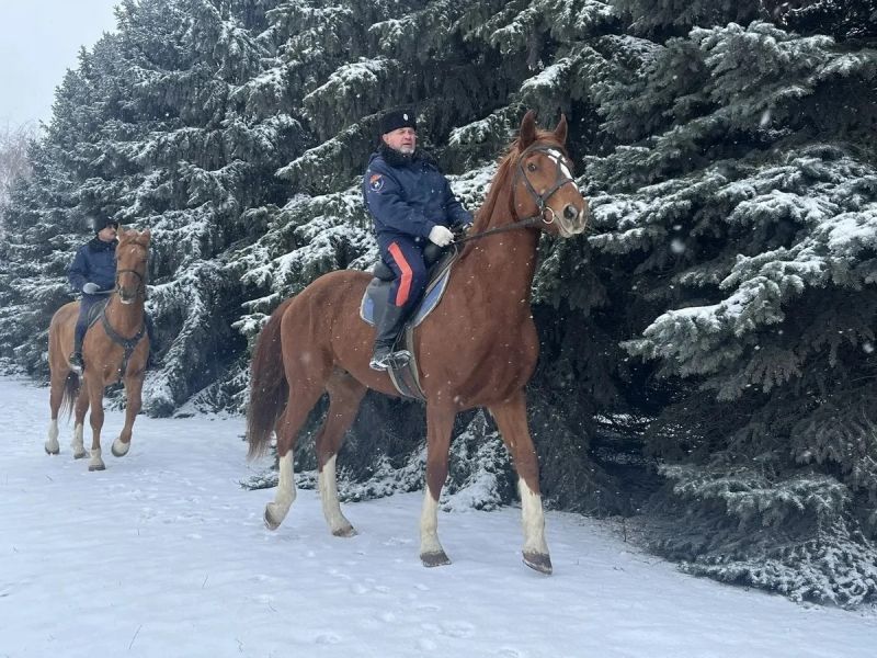 � ���������� ������� ��������� ����������� �������� ������� � ���������� � ������ ������������� �������