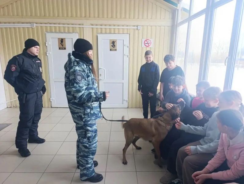 ���������� ������������� ������ ������� ���������������� ����������� � ���������� ������� ����� � 3