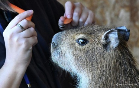 ������� � �������-��-���� ��������� �������� ��������� ������� � 2027 ����