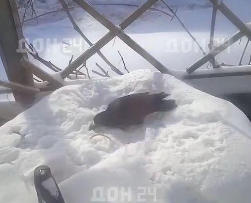 � ���������� ������� ������� ������� �������� �����