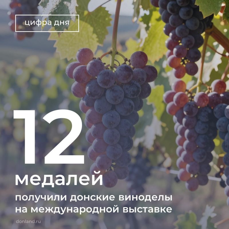 ���� �������, ����� ���������� � ���� ��������� ������ ��������� �� ����������� ���� �� ������������� �������� ����������-2026� � ������