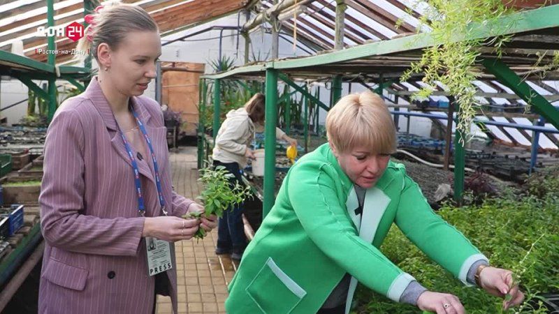 ����� �� �������