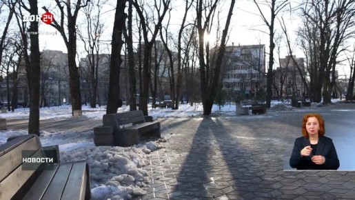 Поручения губернатора