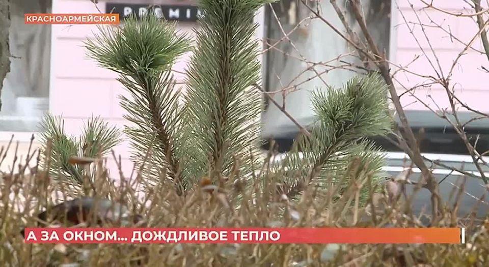 ����� ��������� �� �������� � �������