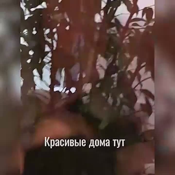 ���������� ������� �� ����������� ���� ��������� ������� ������� �������� � ��� ��� ����� �� ��������� �� ����� ��������