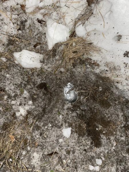 ������ 230 ������� ���������: � ����������� ����������� ��������� �������������� � ��������������� ����������� �������