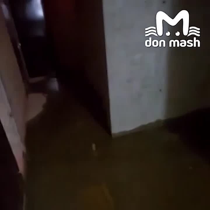 ������� �� "�����������" ������ ������������ �����������, �������� ������