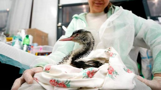 ��� ����� �������� � ���� ����