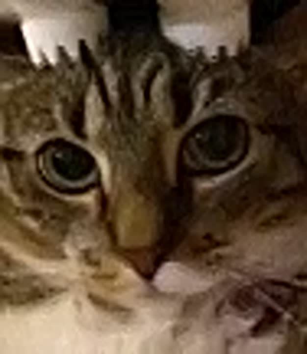 �� 23 ������� � ���������� ������� ������������ ��������� ����