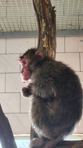 ������ �� ����� �������� ������ �� ������������ ���� ����� ������ ��������