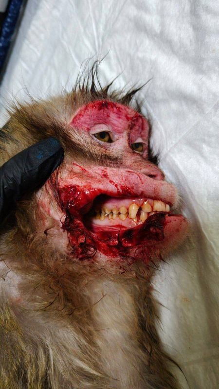 �������� ����� ��������� � ����� ���� ��������