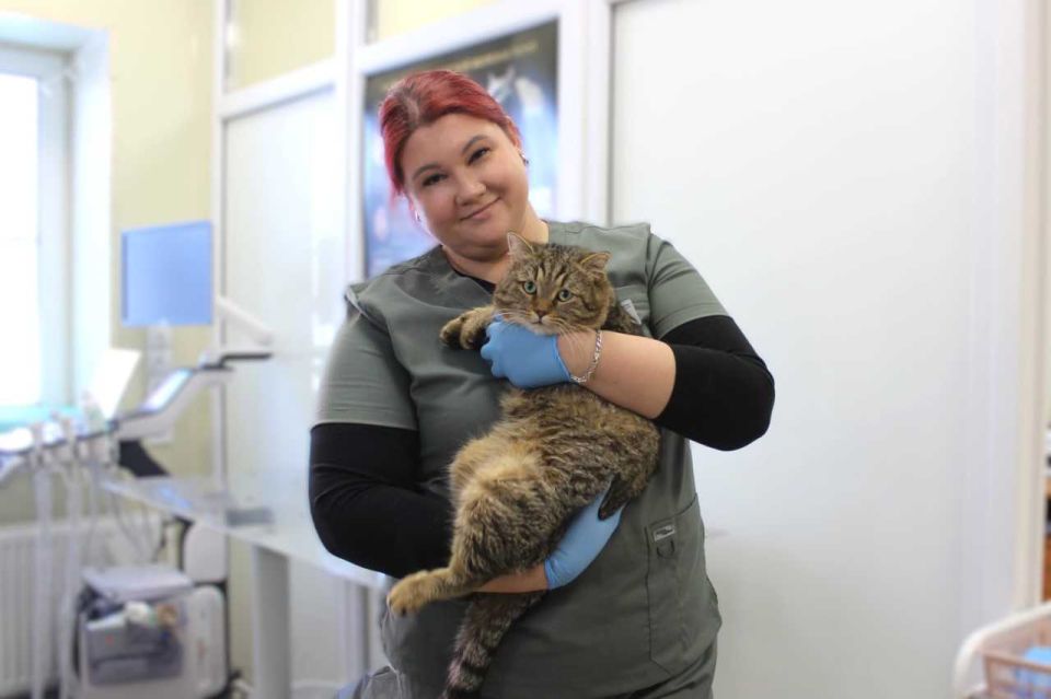 � �������-��-���� �������� �������� ����� �������� ������������ ����� � �����