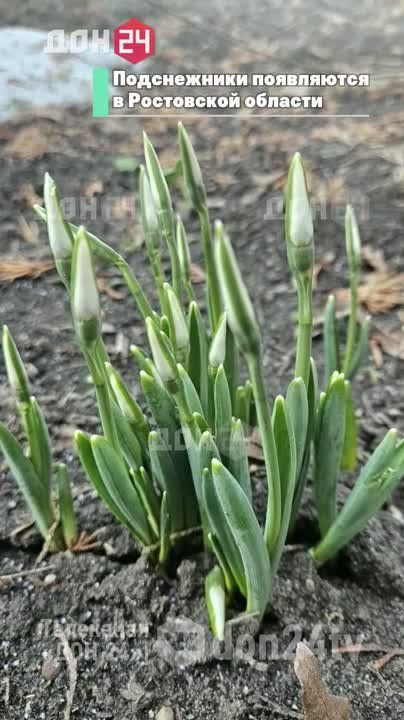 ����������� ���������� � ��������� ������