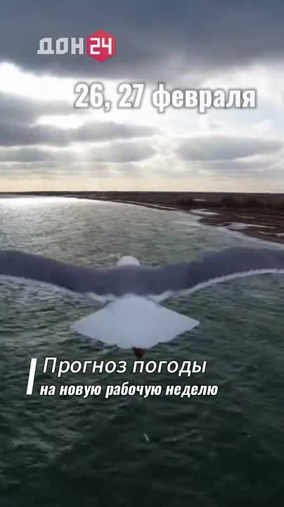 ������ ����, ����� � ������ ������: ����� ������ ��� ������ �� ����� ������� ������?