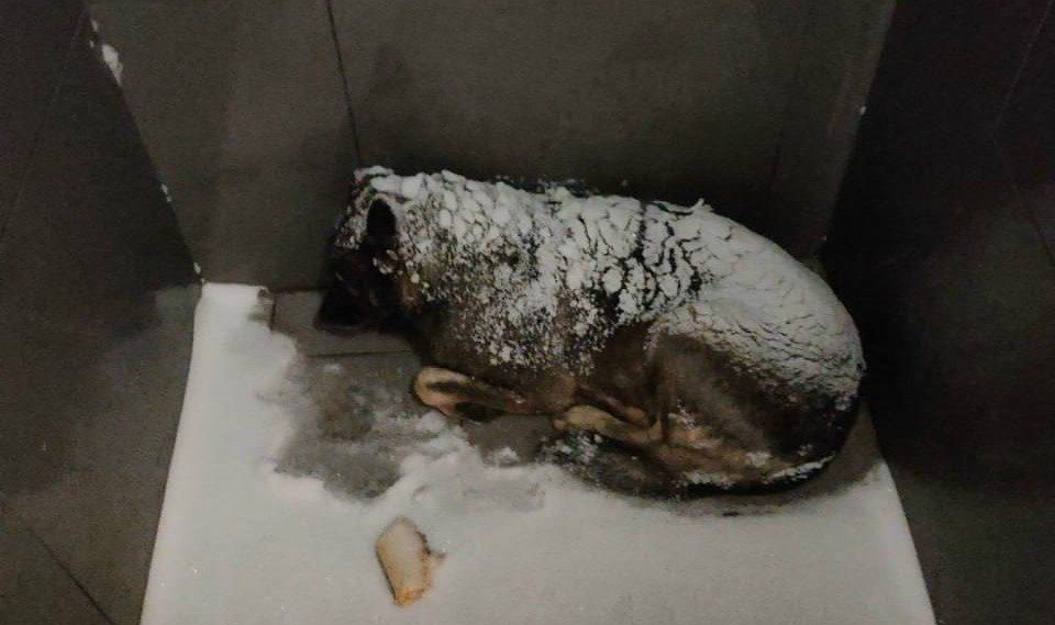 ���������� ��������� ����� ����� ��-�� ���������� �������, ��������� ������