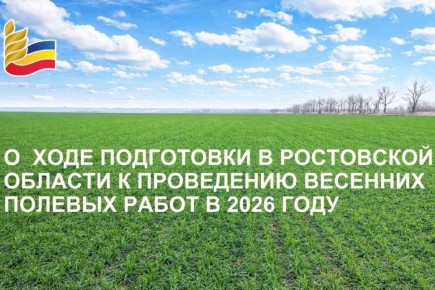 Донские аграрии готовятся к весенне-полевым работам