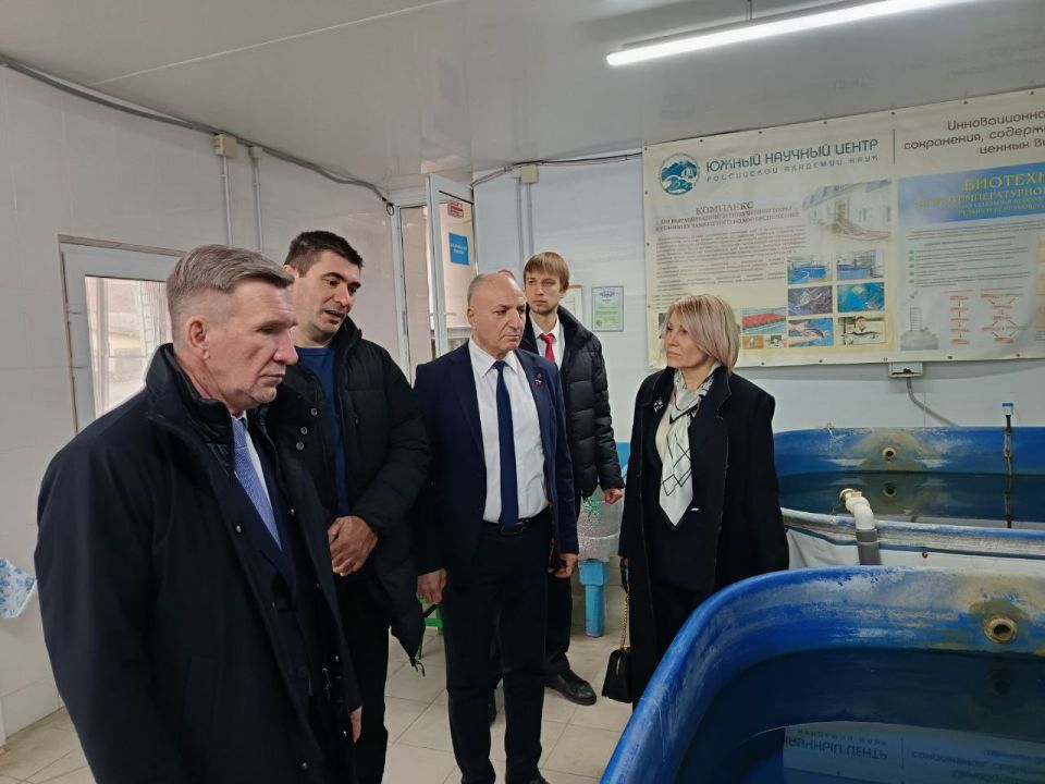 ����� ������� ������� � ������������ ��� ��� ����������� �������� ������-�������������� ���� � ���� ���������