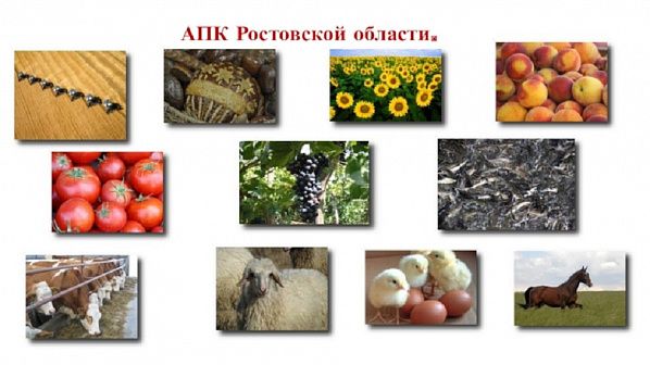 �� ��������� �������� ��������� � �������� ���� ���� ���������� ����� 8 ���� ������