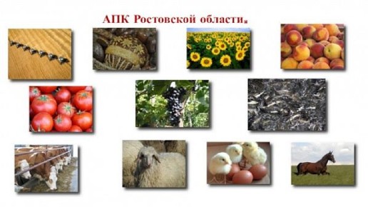 На поддержку донского агропрома в минувшем году было направлено более 8 млрд рублей